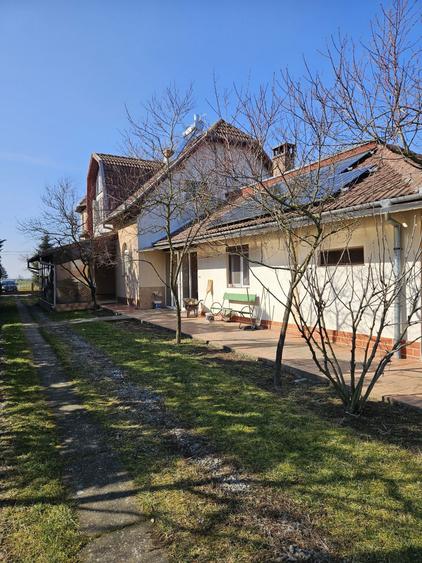 Casa 2 familii / firma + livada Satu Mare - Cionchesti - 7