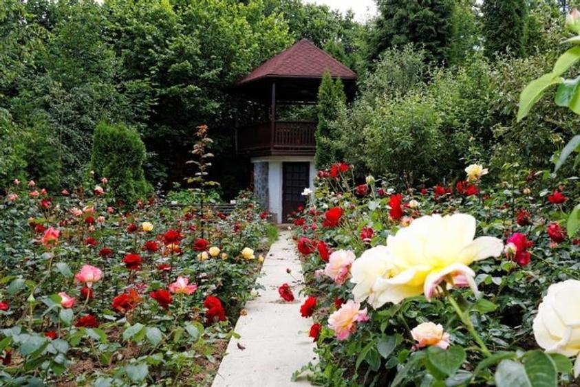 Tur LIVE & FILM! Vila + pensiune, pe 1.500 mp teren, Drumul Poienii, Brasov - 1