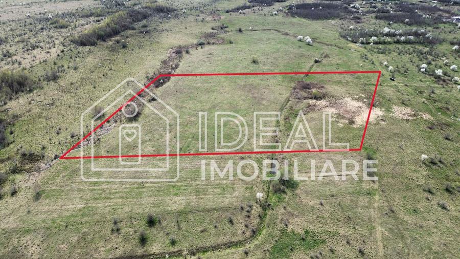 Teren 25.500 mp Valea Avrigului - 1