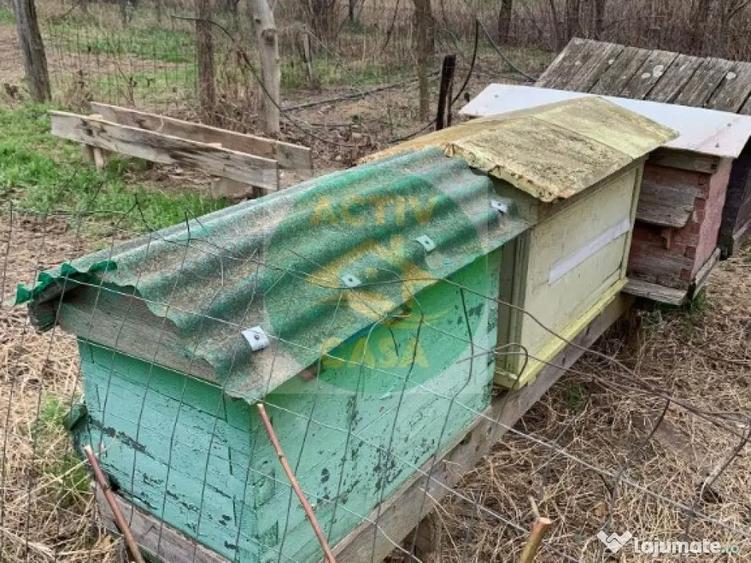 LOCUIN?A ECOLOGICA + GRADINA SUSTENABILA - 3