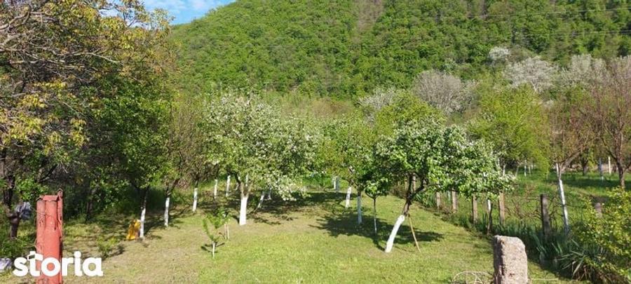 Teren intrare Herculane,E 70 Herculane-Orsova - 4