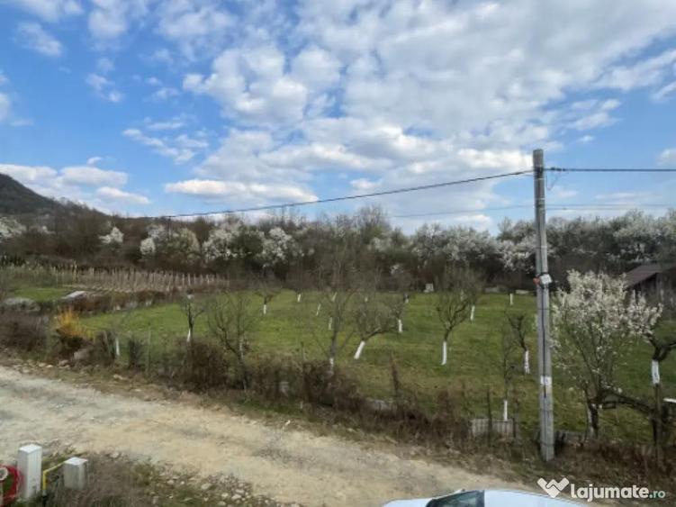 Casa semifinisata Tau?ii Magherau?, 136 mp, teren 19 - 1