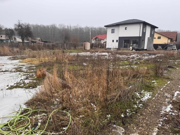 Teren Ciolpani: 500 mp langa padure si DN/ toate utilitatile - 9