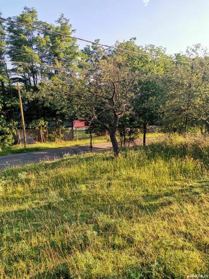 Vand teren livada Dobreni Neamt spre Prohal - 6