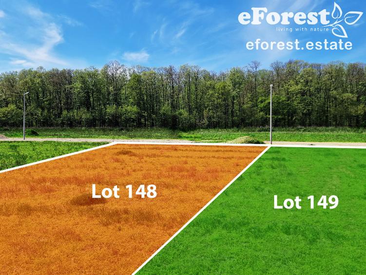 Terenuri premium de vanzare, langa padure, acces asfaltat din DN1A - 7