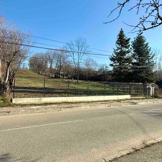 Teren Pucioasa 4800m Deschidere 19m la Str Garofitei Intravilan - 2