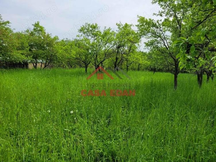 Teren intravilan in Scorteni--3999mp--55.000e - 2