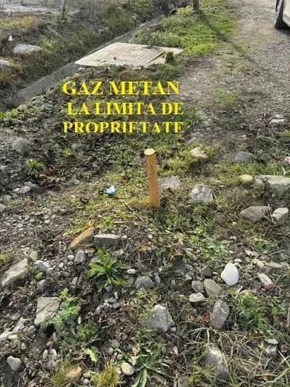 Teren de vanzare 2.631 mp, Slanic Moldova - Ciresoaia, Bacau - 18