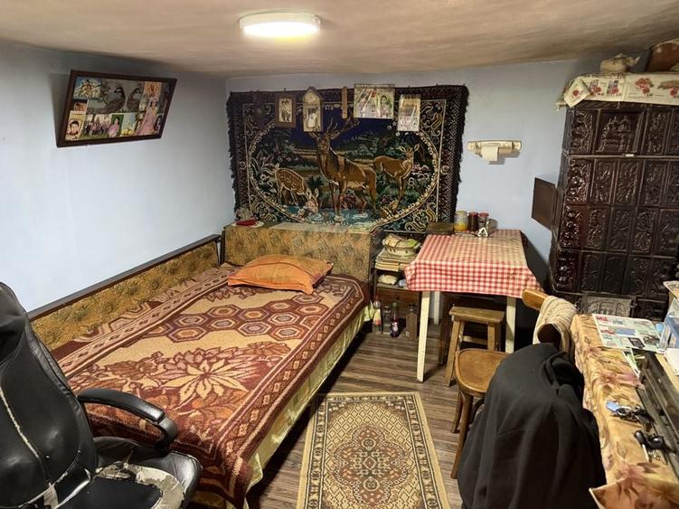 Casă  de vânzare în zona Câmpulung înconjurată de natura - 12