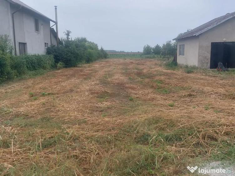 Teren Intravilan 1846 mp, sat Malaiest, comuna Rafov - 7