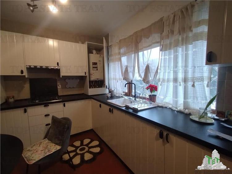 Casa spatioasa cu gradina, cartier Green City, comuna 1 Decembrie - 3