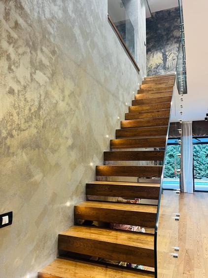 Vila 5 dormitoare si Piscina - Pipera - 10