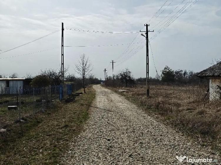 Teren Intravilan 1.472 mp Cotmeana - Linte?ti, Utilita?i la gard, langa Padure - 2