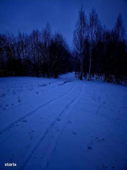 Teren 5000 mp extravilan Sinca Noua - 2