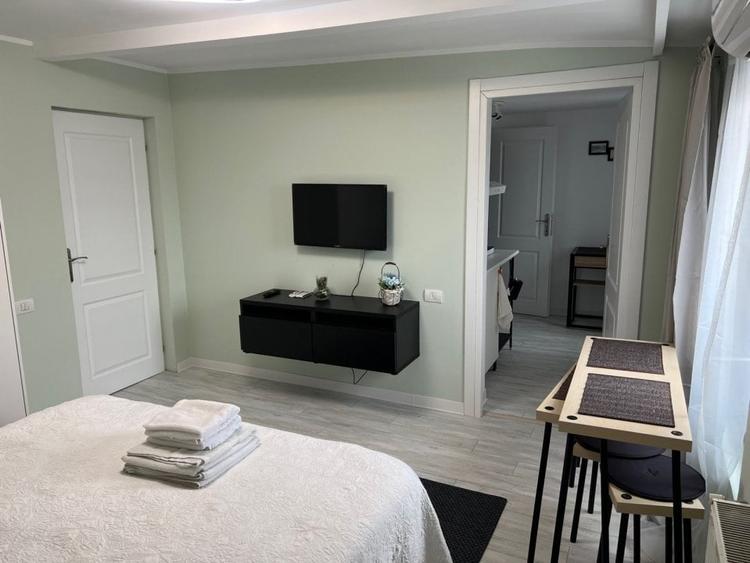 Penthouse Dorobanti, aparthotel-oportunitate investitie - 16