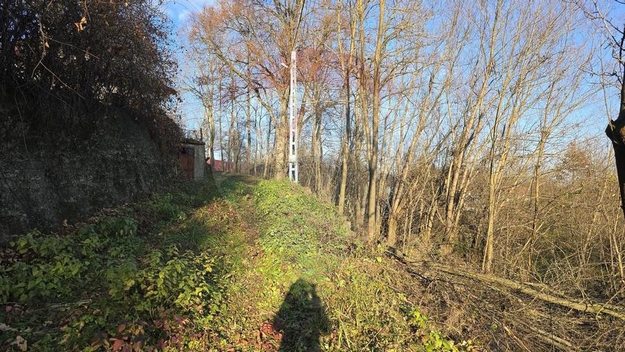 Teren  de vanzare in Fratautii Noi / Strada Dealului - 13