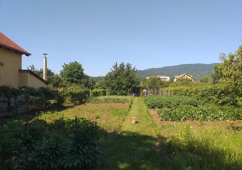 Teren Intravilan Vanzare 1400 mp. Alba Micesti deschidere 16m. Toate Utilitatile - 4