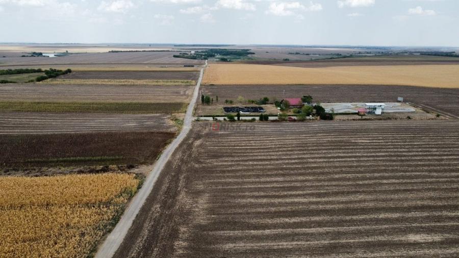 Teren Construcții intravilan de 9000 mp, în Frumușani