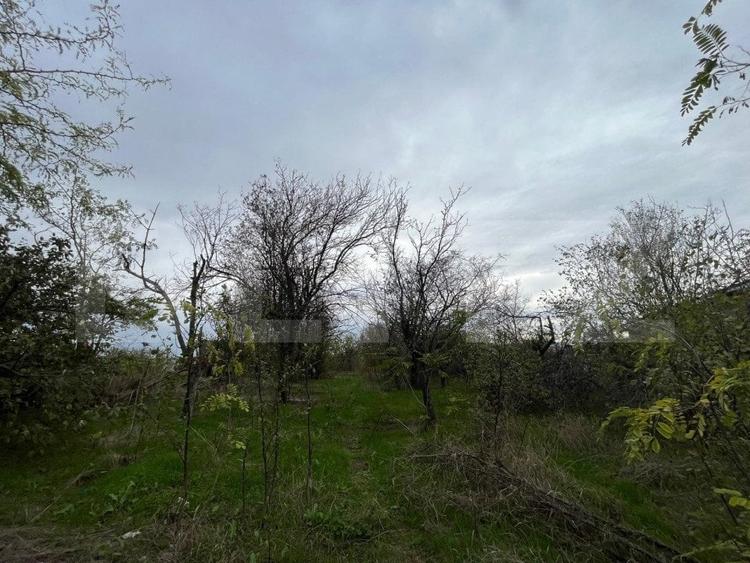 Teren 1895 mp, in Carcea, front 21 ml, toate utilitatile - 2