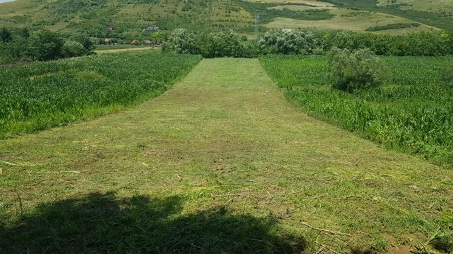 Vând 1200m teren intravilan și 1700m teren extravilan în Comuna Căianu, jud. Clu - 5