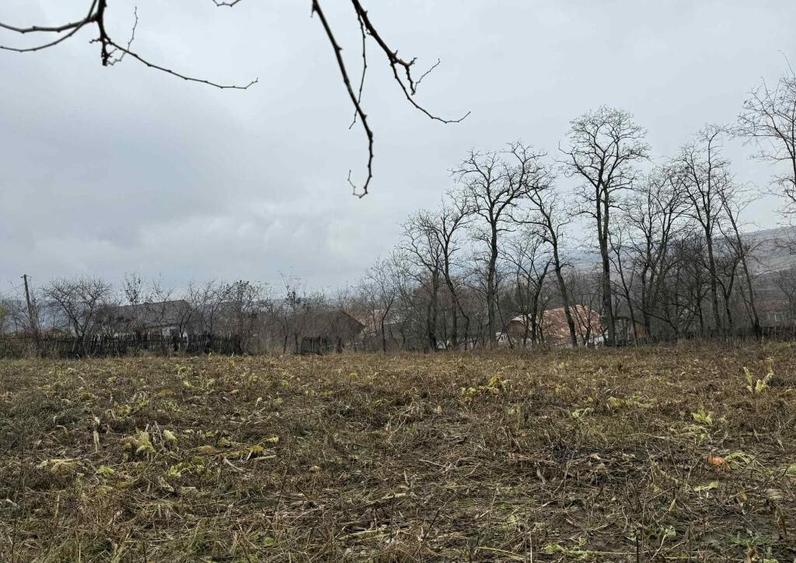 Teren Ultracentral in Rotunda - 2