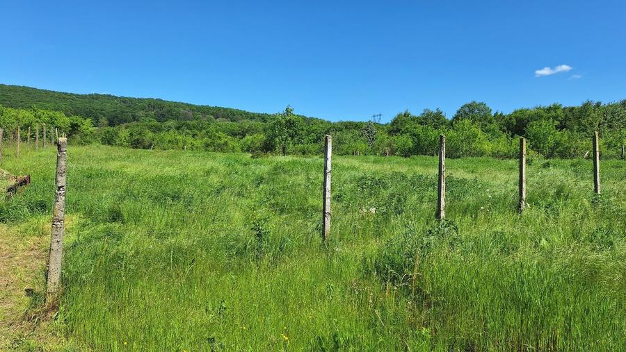 Casa de Vanzare Baiculesti Arges - 15