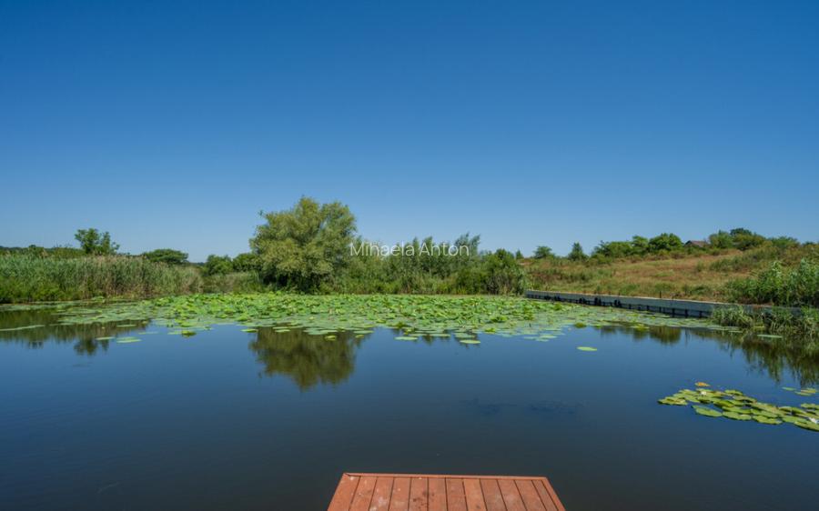 Izvorani, Delta Snagov, Tiny House, Loc ponton, Comision 0 % Izvorani, Delta Snagov, Tiny House, Loc ponton, Comision 0 %