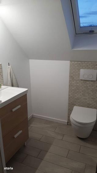 2 case pe curte / posibila investitie - 4