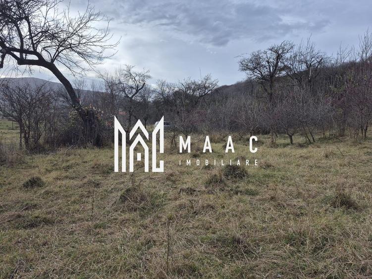 Teren de vanzare | Orlat | Extravilan - 3