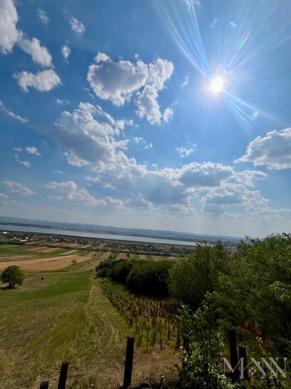 Pivnita + parcela de vie | de vanzare | Uileacu de Cris, Bihor - 7