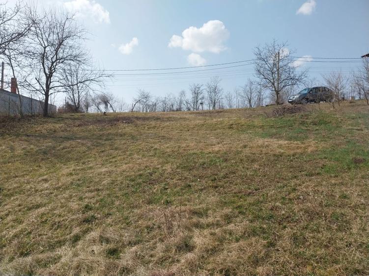 Casa individuala 180 mp zona Viticultori - 8