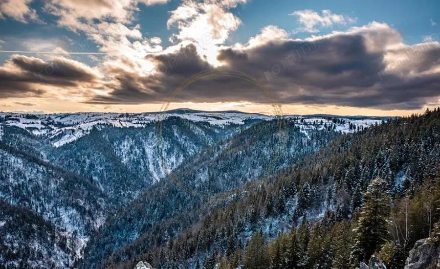 Teren intravilan, 1190 mp, cu PUZ+CU de construire, Marisel, la 500m de partie - 7