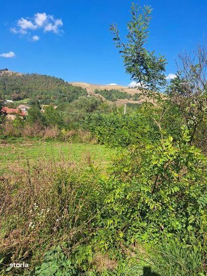 Vand teren intravilan - 3