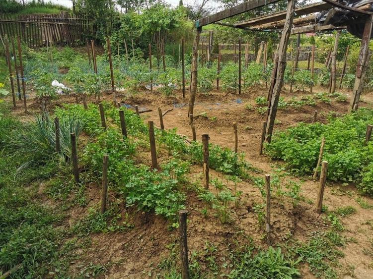 Mureseni,casa 2 camere  teren 650 mp - 8