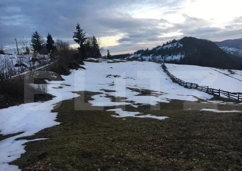 Teren de vanzare, Scarisoara, ideal pentru cabana - 2