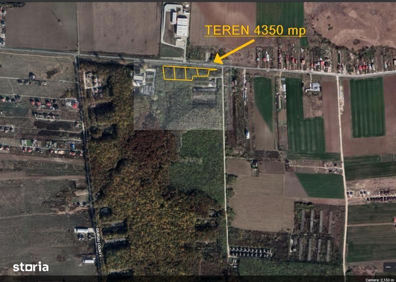 Teren Dragomiresti Vale direct proprietar 4 350 mp - 4