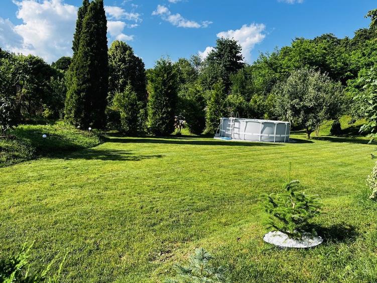 Vand Teren Valea Avrigului - 8