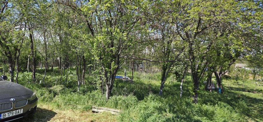 Vand proprietate   - 12