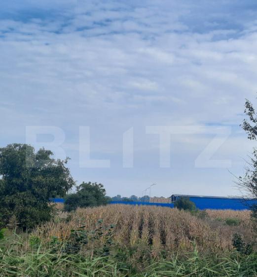 Teren extravilan de vanzare suprafata 1.700 mp ,zona Careiul - 1