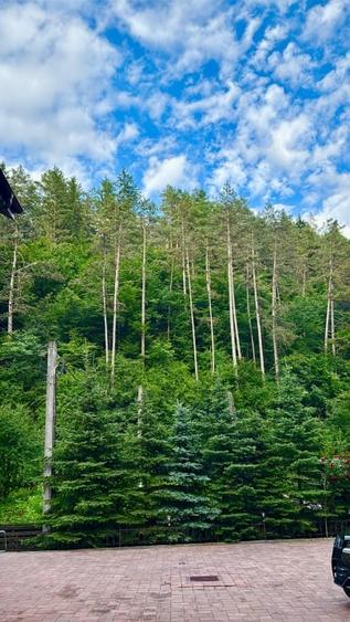 Casa de vacanta sau pensiune | Batca Doamnei | Teren in natura - 12