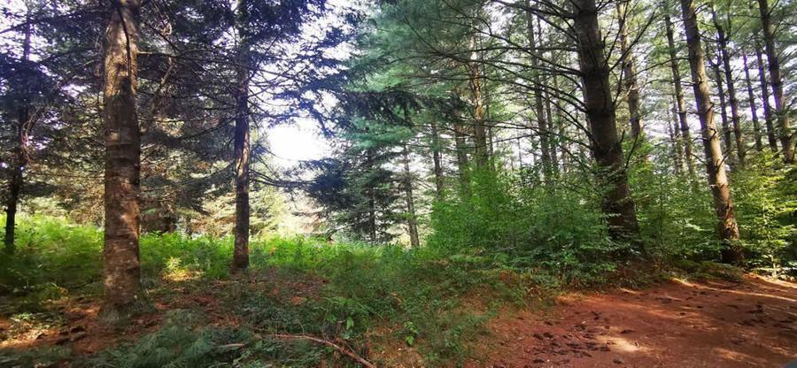 Teren Valiug 900-2400 mp acces auto utilita?i negociabil - 1