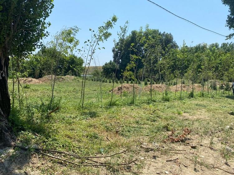 Teren construcții 3 loturi Intrarea Serelor/ Iuliu Hațeganu - 4