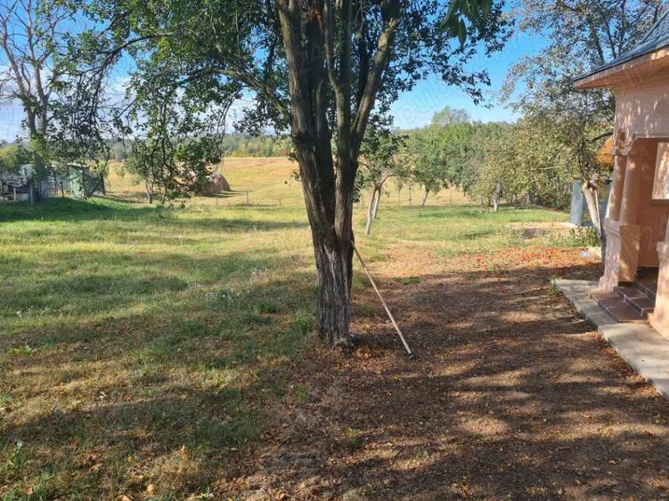 Vand casa cu teren agricol comuna spineni sat cuza voda jud olt - 2
