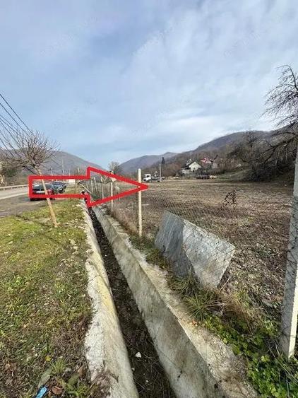 Teren de vanzare 2.631 mp, Slanic Moldova - Ciresoaia, Bacau - 6