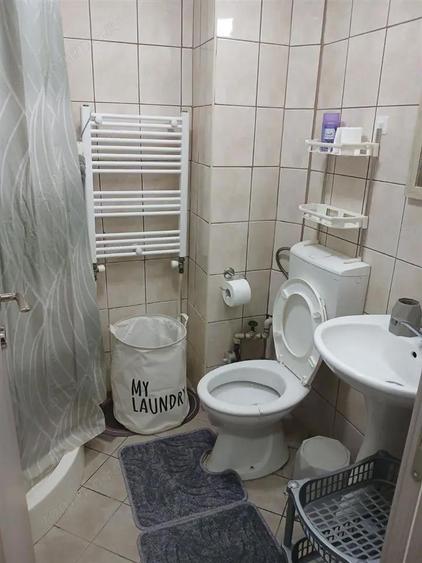 Garsoniera de inchiriat in zona Raul Doamnei - 3