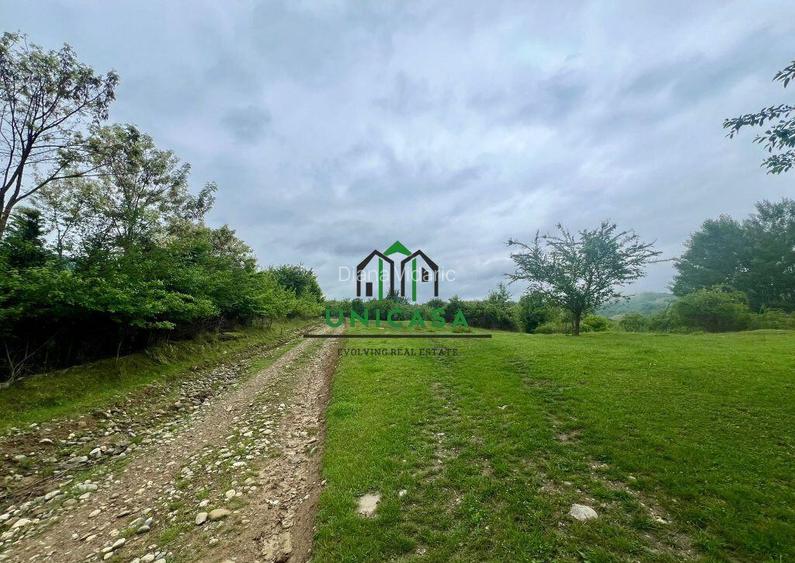 Teren 3507 mp/ Seaca/Calimanesti