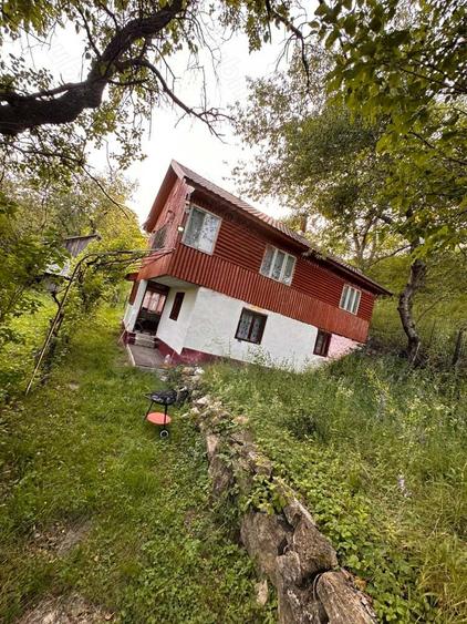 Casa vacan?a Bisoca Lopatareasa - 1