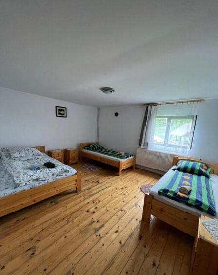 Cabana de 210mp, 2600 mp teren, in Rachitele - 2