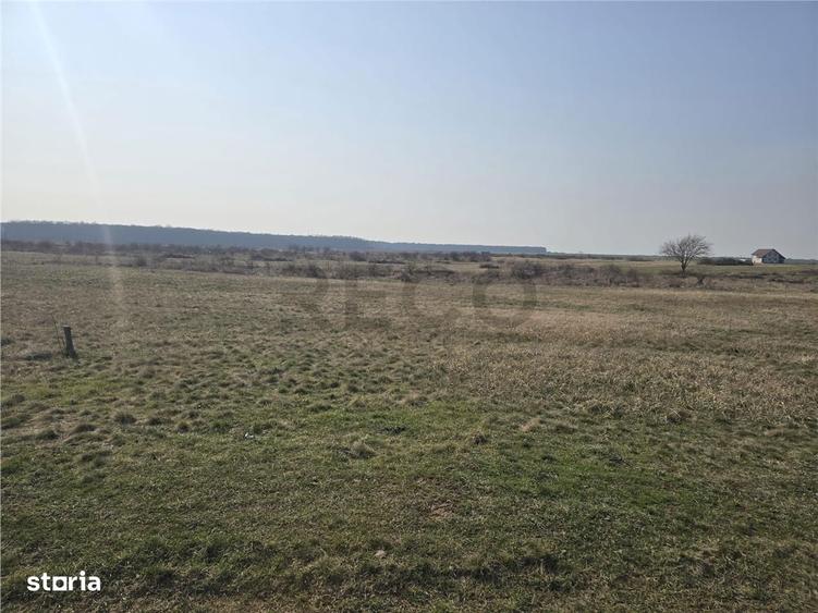 RECO Teren Grigorescu - 6