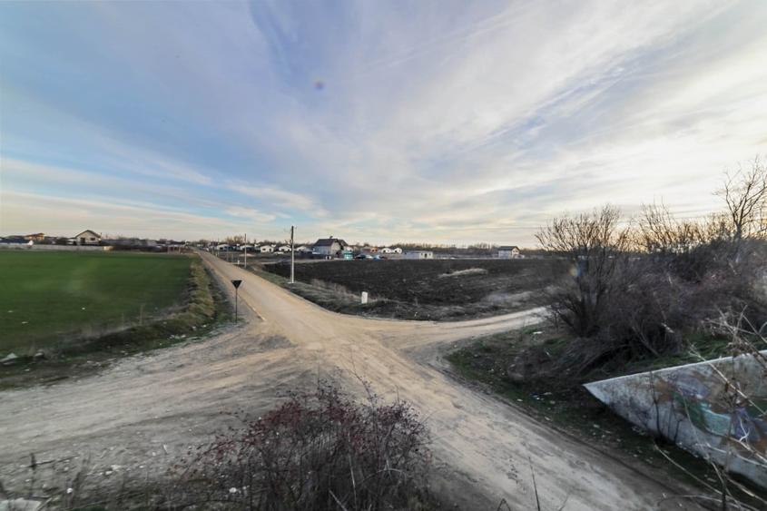 Domnesti, Salciei, Haltei, Ciocarliei, teren 6000 mp, drum asfaltat cu utilitati - 8